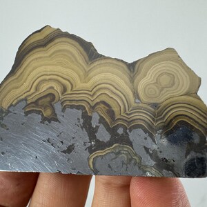 Sphalerite and Galena( Challenblende):Pomorzany mine Poland,minerals crystals from Poland,Galena and Sphalerite Poland,N1