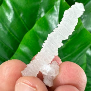 Very rare Calcite from Krushev dol mine,Madan,Bulgaria,Inclusions,Mineral Specimen,Calcite Collector’s