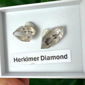 Könnte beinhalten: Zwei Herkimer-Diamanten werden in einer weißen Box präsentiert. Die klaren Kristalle weisen schwarze Einschlüsse auf. Ein weißes Etikett darunter lautet "Herkimer Diamond". Der Hintergrund ist ein verschwommenes Grün.
