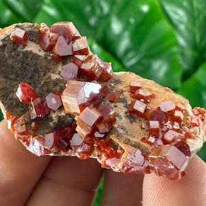 Amazing Vanadinite from Morocco,Crystal, Mineral,Specimen,Cluster,Vanadinite Crystal,Vanadinite,Geology,Vanadinite,Red,Home Decor, N58
