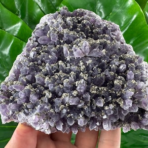 Rare Amethyst with Pyrite from Chala mine Bulgaria,Bulgarian Amethyst,Purple Quartz,Cluster,Specimen,Crystal,Chala mine N565