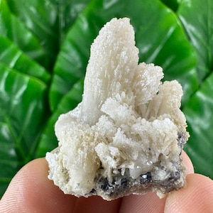 Amazing Calcite from Djurkovo mine,Laki ,Bulgaria,Calcite Collector,crystal N33