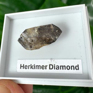 Herkimer Diamond (Mini) – Natural Double-Terminated Quartz Crystal,Size stand: 4 x 3.5 cm N1
