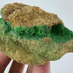 May include: A raw mineral specimen featuring a rough, tan-colored rock matrix with a prominent, horizontal band of vibrant, crystalline emerald green mineral deposits embedded within the center and side of the stone structure.
