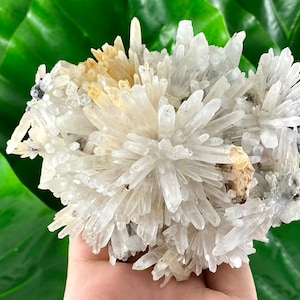Quartz with Limonite,Calcite and Sphalerite form 9th September mine,Madan,Bulgaria,,Mineral,Specimen,Calcite Collector’s,minerals,Specimens