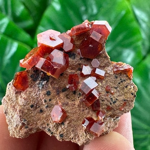 A very nice Vanadinite from Morocco,Crystal, Mineral,Specimen,Cluster,Vanadinite Crystal,Vanadinite,Geology,Vanadinite,Red,Home Decor, N61