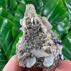 Rare Pyrite with Calcite from Trepca,Kosovo,Trepca Stari Trg Mine,Trepca complex,Mitrovica,N561