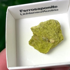 May include: A piece of Ferrosaponite, a mineral from Lichtenau, Austria, is displayed in a white box. The mineral is a vibrant, yellowish-green color and has a rough, textured surface. The box has the mineral's name printed on it.