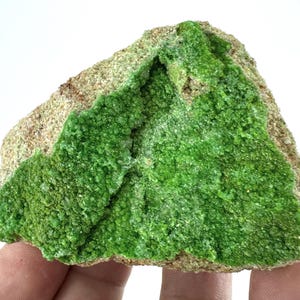 May include: A raw mineral specimen featuring a cluster of vibrant, bright green crystalline structures embedded within a rough, tan-colored rocky matrix. The crystalline surface displays a granular, sparkling texture across the central area.