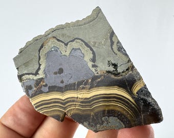 May include: A slice of banded iron formation rock, showcasing layers of dark gray, black, and tan colors. The rock has a rough, natural edge and a polished surface, revealing intricate patterns.