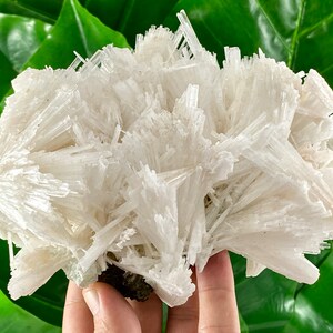 INCREDIBLE Scolecite from India,Big Scolecite,Collections, Scolecite Collection,Huge Scolecite,Museum Scolecite