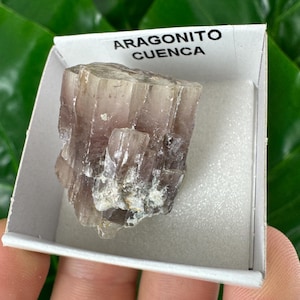 Amazing Aragonite from Spain,Aragonite crystal,cluster,natural,mineral,specimen,Purple Aragonite,Spanish Aragonite,Mineralcollection,