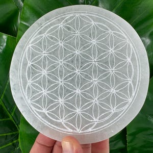 Op de afbeelding: Een ronde, witte seleniet oplaadplaat met een gedetailleerd Flower of Life patroon in het oppervlak geëtst. De plaat wordt tegen een achtergrond van grote, groene bladeren gehouden. Dit item wordt gebruikt voor kristalreiniging en energie werk.