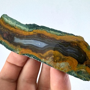 Könnte beinhalten: Eine polierte Scheibe aus Achat mit konzentrischen Bändern in tiefem Waldgrün, leuchtendem Senfgelb und Dunkelbraun sowie einem durchscheinenden, hellgrauen kristallinen Zentrum. Das Mineralexemplar hat eine unregelmäßige, längliche Form.