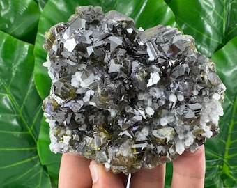 May include: A cluster of dark, metallic-looking crystals with sharp, geometric facets interspersed with small, white, opaque mineral formations. The specimen displays a mix of deep charcoal, olive-green, and translucent white crystalline structures.
