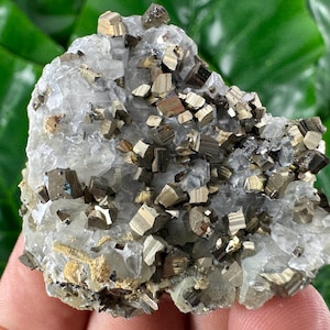 Rare Fluorescent Calcite and Pyrite from Djurkovo mine,Laki ,Bulgaria,Calcite Collector,UV Reaction,UV Reactive crystal N73