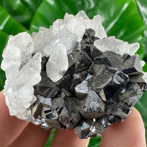 Aesthetic Sphalerite and Calcite from Trepca,Kosovo,Trepca Stari Trg Mine,Trepca complex,MitrovicN559