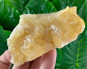 Rare Yellow-Orange Fluorescent Calcite on Mangano Calcite from Krushev dol mine,Madan,Bulgaria,Calcite collection,Collectors,Uv Reactive,