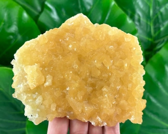 Large Yellow-Orange Fluorescent Calcite on Mangano Calcite from Krushev dol mine,Madan,Bulgaria,Calcite collection,Collectors,Uv Reactive,
