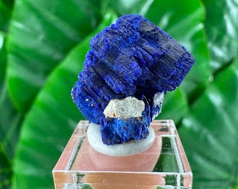 Cristal de azurita: Minerales y cristales de Marruecos, Colección de azurita, Ejemplar de azurita (tamaño 2 x 1,7 cm), N2