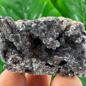 May include: A close-up of a dark gray mineral specimen with a rough, textured surface. The mineral has a crystalline structure with small, sparkling inclusions. The edges are a lighter brown color. The background is a blurred green.