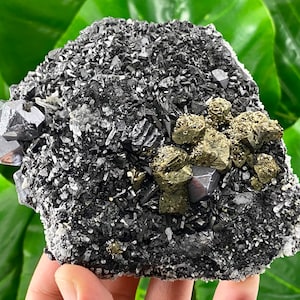 Large  Sphalerite with Chalcopyrite,Pyrite,Galena from Vurba mine,Madan,Bulgaria,Specimen,Cluster,Collection,Collectors,Mineral