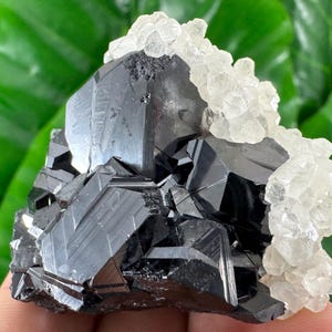 Amazing Sphalerite with Calcite from Trepca,Kosovo,Trepca Stari Trg Mine,Trepca complex,Mitrovica,N67