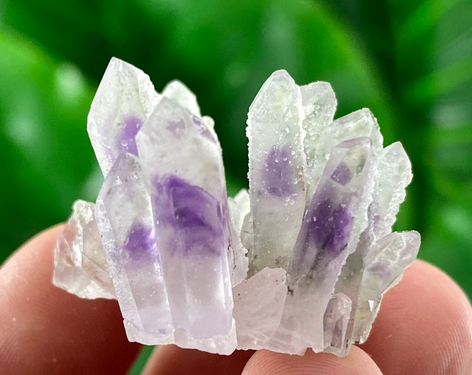 Rare Amethyst Phantom From Djurkovo Mine,laki,bulgaria,home Decor
