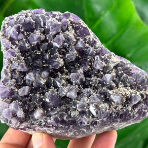 Rare Amethyst with Pyrite from Chala mine Bulgaria,Bulgarian Amethyst,Purple Quartz,Cluster,Specimen,Crystal,Chala mine,N509