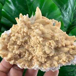 Rare Calcite from Krushev dol mine,Madan,Bulgaria,Inclusions,Mineral Specimen,Calcite Collector’sN503