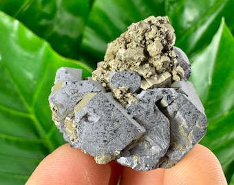 Amazing Galena with Pyrite from Borieva mine ,Madan,Bulgaria,Mineral,Crystal,Home decor,Collection