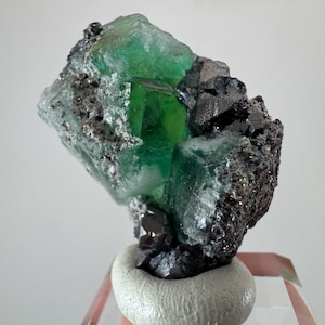 Op de afbeelding: Een levendige groene fluorietkristalgroep met donkere, metalen insluitsels. Het mineraalmonster is gemonteerd op een witte, afgeronde basis, die de natuurlijke schoonheid benadrukt. De facetten van het kristal reflecteren het licht.