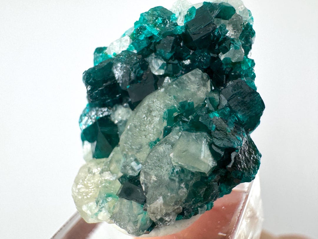 Mini Dioptase with free Stand from Sanda Hills,Mindouli,Pool Department,Mindouli District,Congo,green Dioptase,Dioptase Crystal,N5