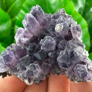 Rare Amethyst with Pyrite,Sphalerite from Chala mine Bulgaria,Bulgarian Amethyst,Purple Quartz,Cluster,Specimen,Crystal,Chala mine,N508
