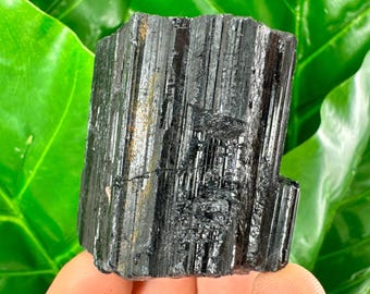 Tronco de turmalina negra en bruto: espécimen mineral, piedra en bruto