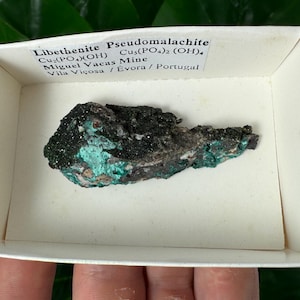 May include: A mineral specimen of Libethenite Pseudomalachite, a copper phosphate hydroxide, displayed in a white box. The mineral has a dark, textured appearance with patches of vibrant teal and green. Text on the box indicates the origin as Miguel Vacas Mine, Portugal.