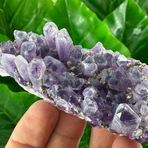 Rare Amethyst with Pyrite from Chala mine Bulgaria,Bulgarian Amethyst,Purple Quartz,Cluster,Specimen,Crystal,Chala mine,N509
