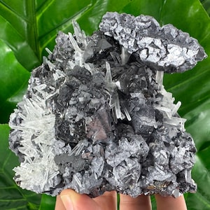 Incredible Spinel Galena with Sphalerite and Quartz from Krushev dol mine,Madan,Bulgaria,Mineral Specimen,Mineral Collection,Crystal,N520