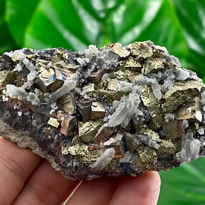Golden Chalcopyrite with Pyrite,Quartz from Djurkovo mine,Laki,Bulgaria,Top Specimens,Specimen,Mineral Collection