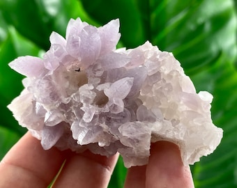 Quartz var Amethyst from Chala mine Bulgaria,Bulgarian Amethyst, Purple Quartz,Cluster,Specimen,Crystal,Chala mine,Natural,stone