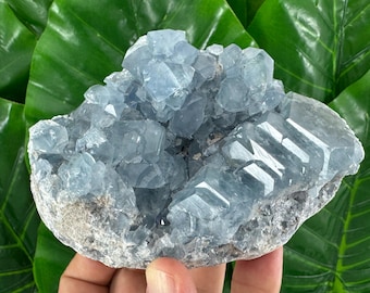 May include: A cluster of light blue celestite crystals featuring numerous translucent, geometric points and facets. The mineral specimen displays a pale sky-blue coloration with a rough, greyish-white base, showcasing a natural, jagged formation.