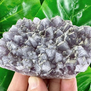 Rare Amethyst with Pyrite from Chala mine Bulgaria,Bulgarian Amethyst,Purple Quartz,Cluster,Specimen,Crystal,Chala mine,N507
