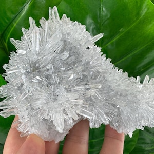 Transparent Quartz from Borieva mine,Madan,Bulgaria,,Mineral,Specimen,Calcite Collector’s,minerals,N522