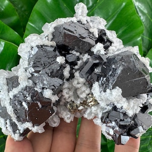 INCREDIBLE Sphalerite with Calcite,Pyrite and Quartz from Trepca,Kosovo,Trepca Stari Trg Mine,Trepca complex,Trepca valley, Mitrovica,N552