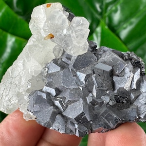 Aesthetic Galena with Calcite and Sphalerite from Trepca,Kosovo,Trepca Stari Trg Mine,Trepca complex,Mitrovica,N559