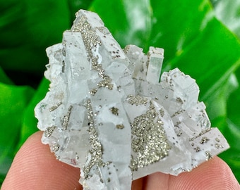 Rara barite con pirite dalla miniera di Androvo, Zlatograd, Bulgaria, minerale naturale, esemplare, gruppo, cristallo, pietra, gruppo, barite, bulgaro