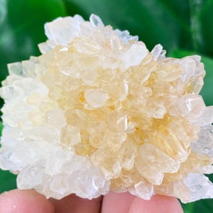 Transparent Quartz with Limonite from 9th September mine,Madan,Bulgaria,Transparent Quartz,Quartz Cluster,Home Decor, Energy Crystal,