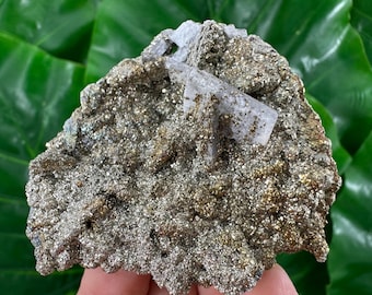 Pirite barite dalla miniera di Androvo, Zlatograd, Bulgaria, Minerale naturale, Campione, Aggregato, Cristallo, pietra, Aggregato, Barite, Bulgaro, N210