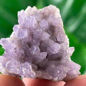 Può includere: Un gruppo di cristalli di ametista viola chiaro. I cristalli sono piccoli e appuntiti, con un aspetto leggermente traslucido. La forma generale è irregolare, con una superficie ruvida e strutturata. Lo sfondo è verde sfocato.