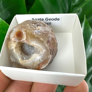 Op de afbeelding: Een bruine agaatgeode met een wit kristal interieur. De geode bevindt zich in een witte doos met het label "Agate Geode Brazilië".